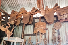 Lara  2017 no Cr edited-103