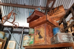 Lara  2017 no Cr edited-108