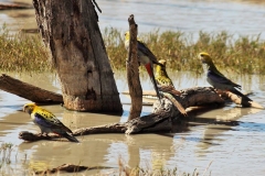 20799999_1400354140034102_3770792124001836422_n-John-Graham-Aug-17