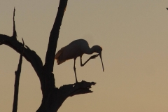 20861861_1400353156700867_6677106860593500327_o-John-Graham-Aug-17