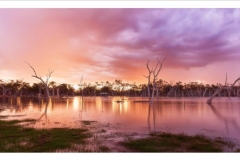 21192446_1984465961832854_2534330846737760878_n-Chris-Niblett-Aug-17