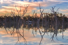 22406129_10155009311417285_7081731718534988435_n-Vicki-Terry-Burnett-Oct-17