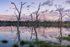 25790790_1684920494961256_3223986893385359463_o-Karen-Willcocks