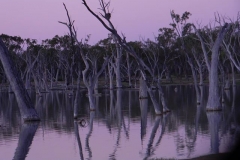 42586801_1692308854213091_7737449726240358400_n-Lesley-Broadhurst2