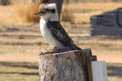 42604144_407996106400485_9215103335751745536_n-Lesley-Broadhurst10