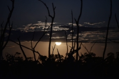 42607384_10156981891611159_2576112618112548864_o-Tim-Stokes