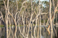 42611620_1600245013413237_6638510377086746624_n-Lesley-Broadhurst9