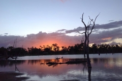 42619781_253397318546930_7198391584965001216_n-Lesley-Broadhurst