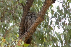 42622038_241357969876893_4091087431841873920_n-Lesley-Broadhurst15