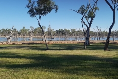 53392939_395291114537088_6295548309264138240_n