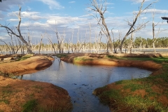 53766484_572233100214803_2814645476710678528_n