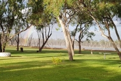 54514574_265890694337588_307745874321080320_n