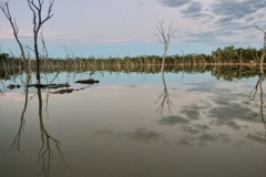 56478660_2803447979695405_7045110889434841088_n