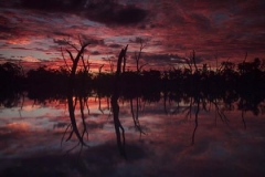 Courtesy-of-Cooper-Hennessy2